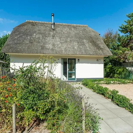 In Near The * 朱丽安娜多普